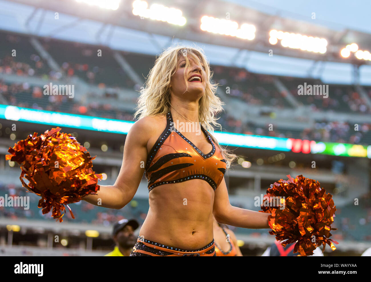 Cincinnati, États-Unis. Août 22, 2019. 22 août 2019 : Un Cincinnati Bengals cheerleader effectue au cours de la saison de football américain NFL action de jeu entre les Giants de New York et les Cincinnati Bengals au Stade Paul Brown à Cincinnati, OH. Adam Lacy/CSM Crédit : Cal Sport Media/Alamy Live News Banque D'Images