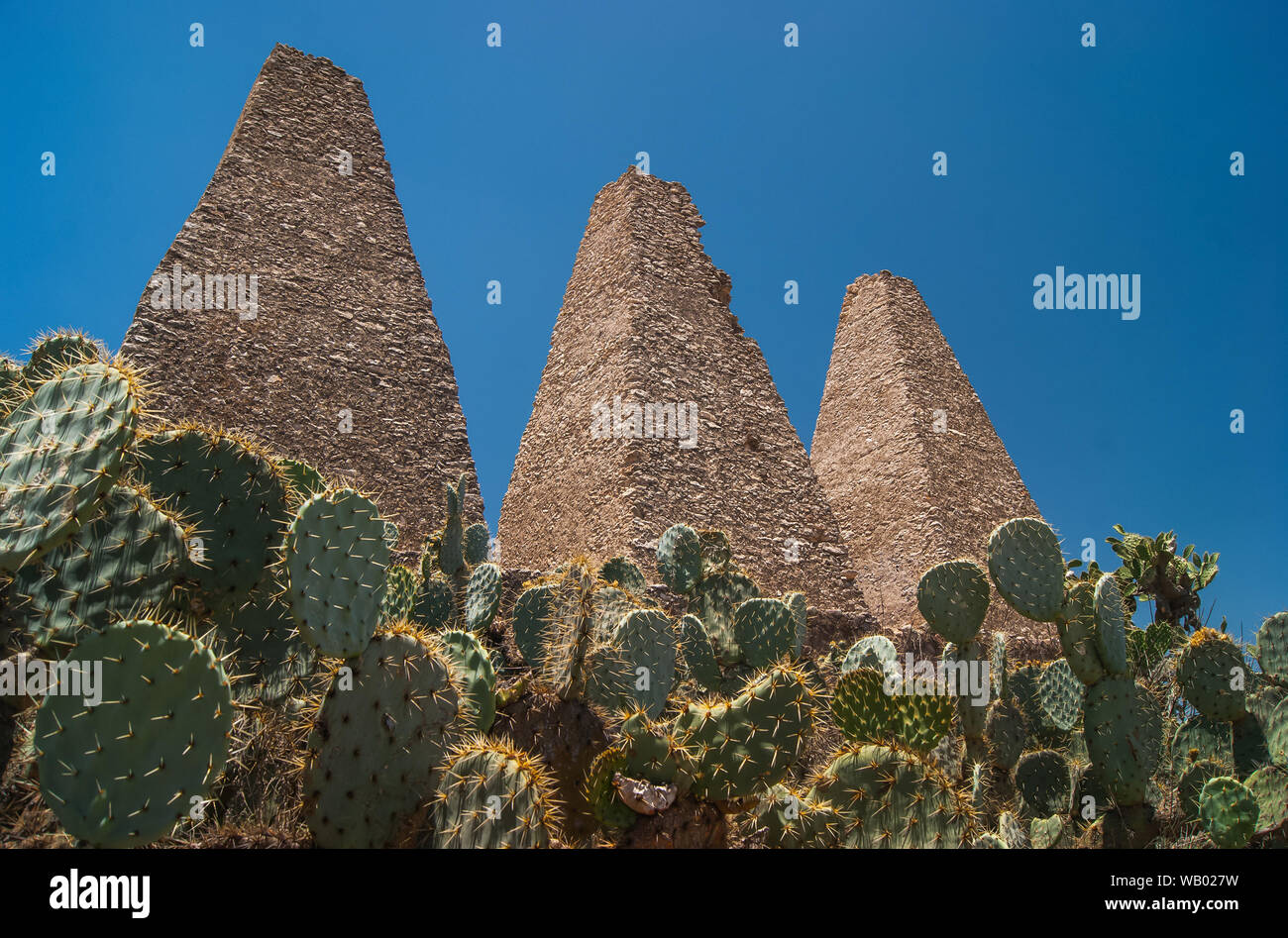 Minéral de pozos guanajuato semi-désert, avec un paysage couvert de mesquites avec minning histoire mexique Banque D'Images