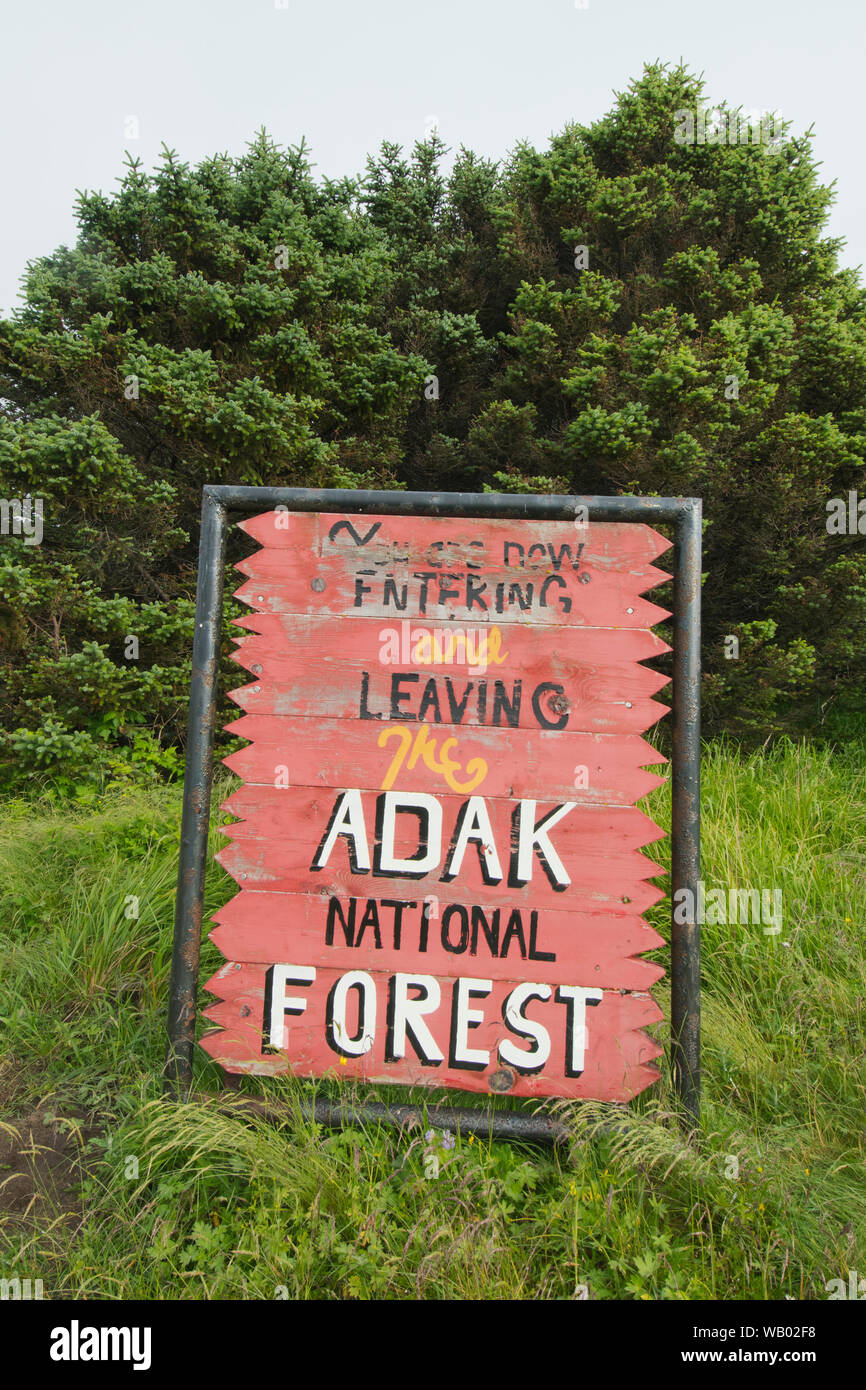 'Adak National Forest', petit bosquet d'arbres plantés sur l'île Adak sans arbres au cours de la Seconde Guerre mondiale, Adak Island, Îles Aléoutiennes, Alaska Banque D'Images