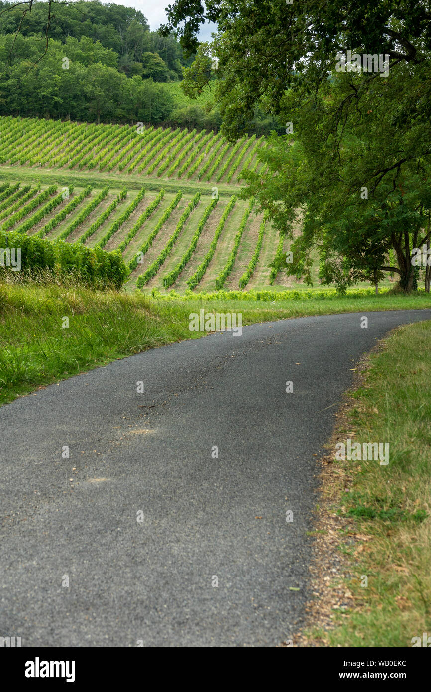 Vignobles de la célèbre région de Monbazillac, Périgord. France Banque D'Images