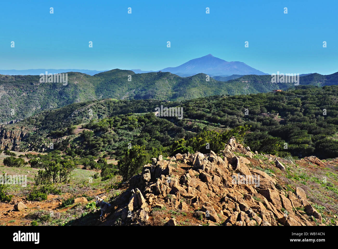 Paysage dans la montagne Teno sur l'île canarienne de Tenerife, dans l'arrière-plan le volcan Teide, en face de la montagne avec la estropié Banque D'Images
