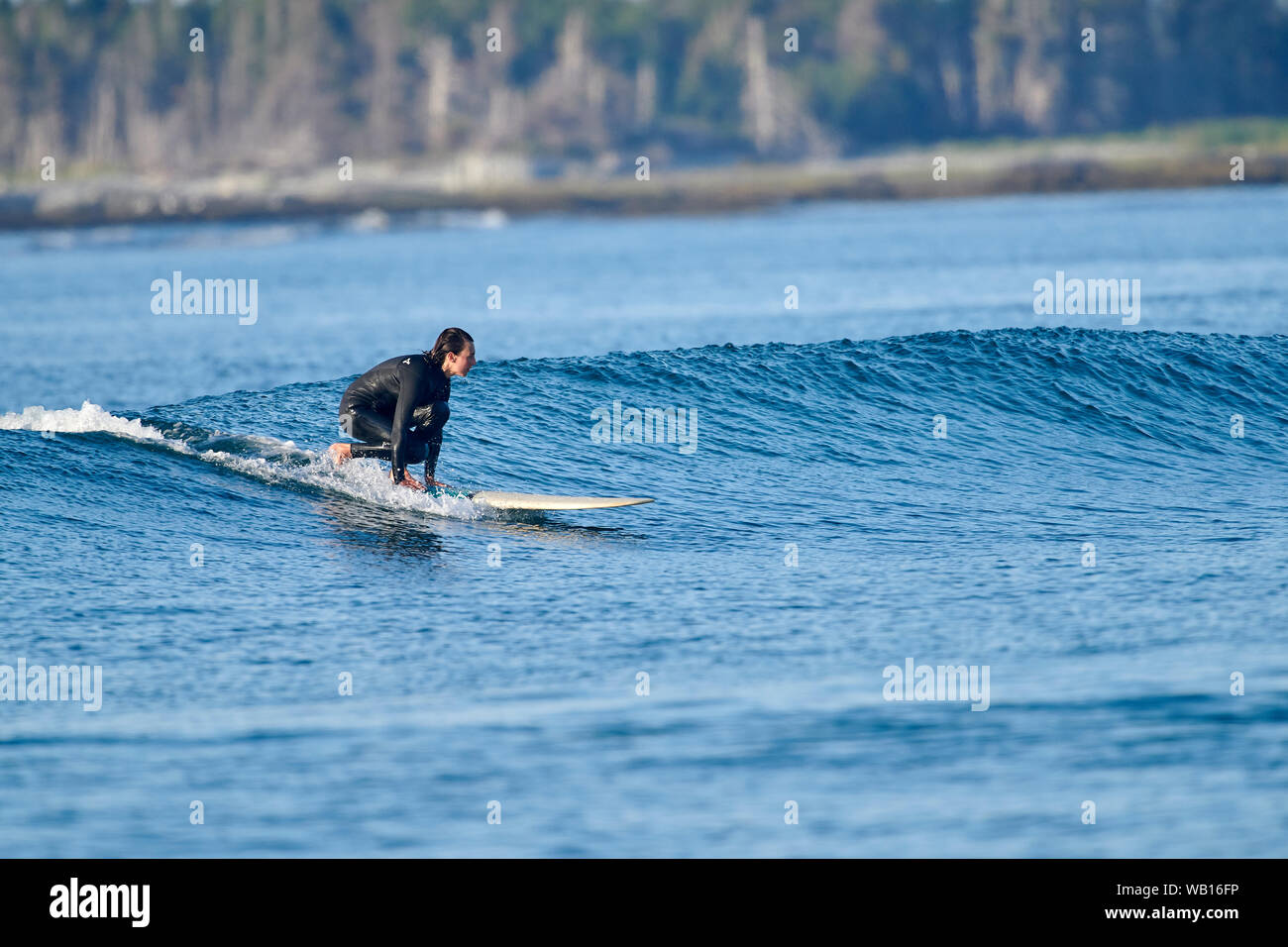 Les surfeurs profiter du matin, les vagues de la plage Cherry Hill, Nouvelle-Écosse, Canada Banque D'Images