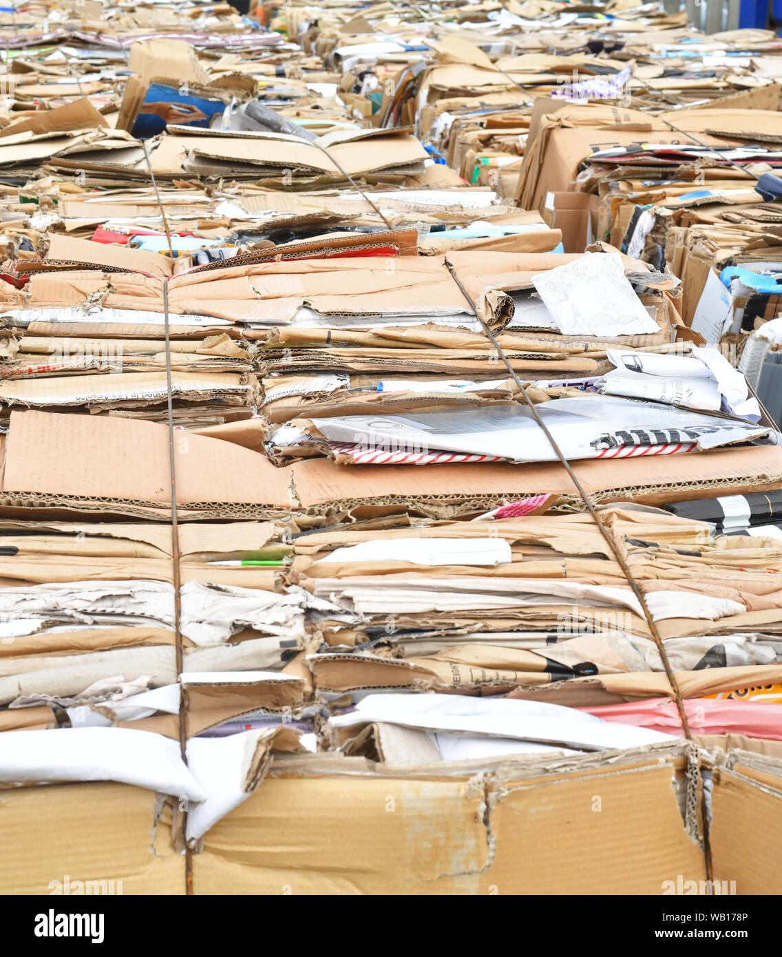 Balles de carton ondulé recyclé en centre de recyclage des déchets ménagers au Royaume-Uni Banque D'Images