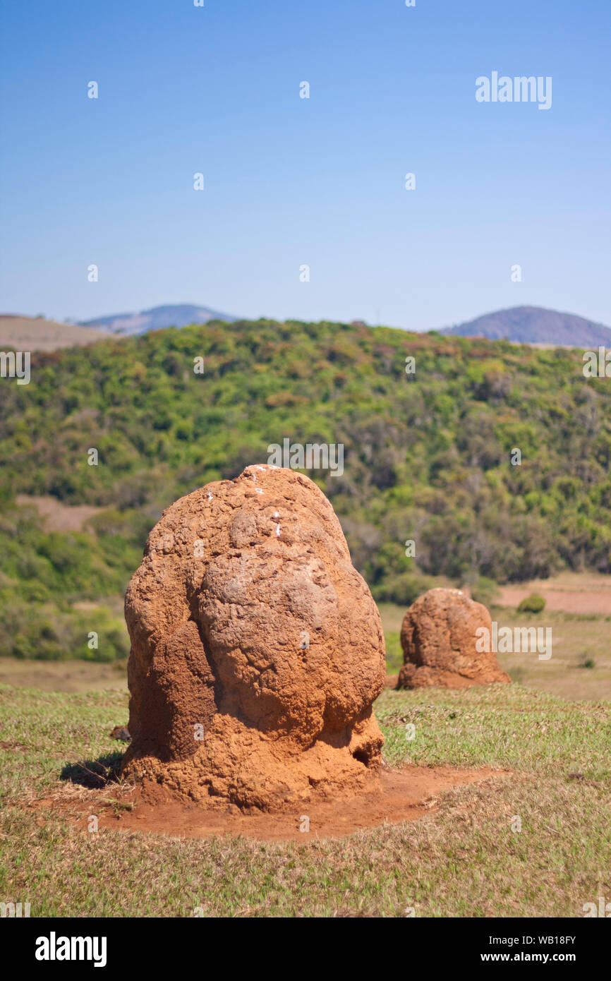 Dans la campagne, Brasópolis, Minas Gerais, Brésil Banque D'Images