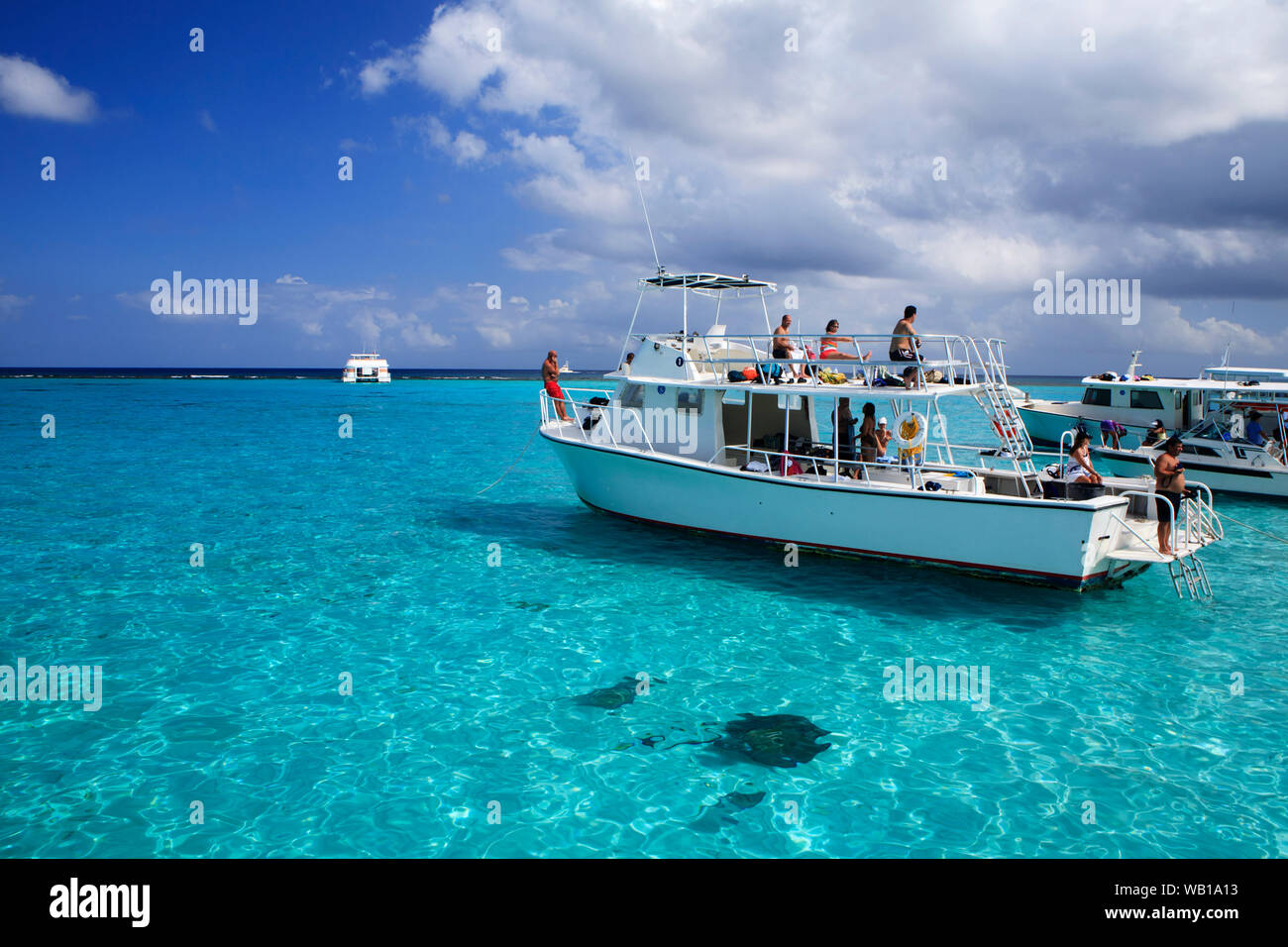 Les touristes profitez d'une journée avec les raies à Stingray City dans les îles Caïmanes Banque D'Images