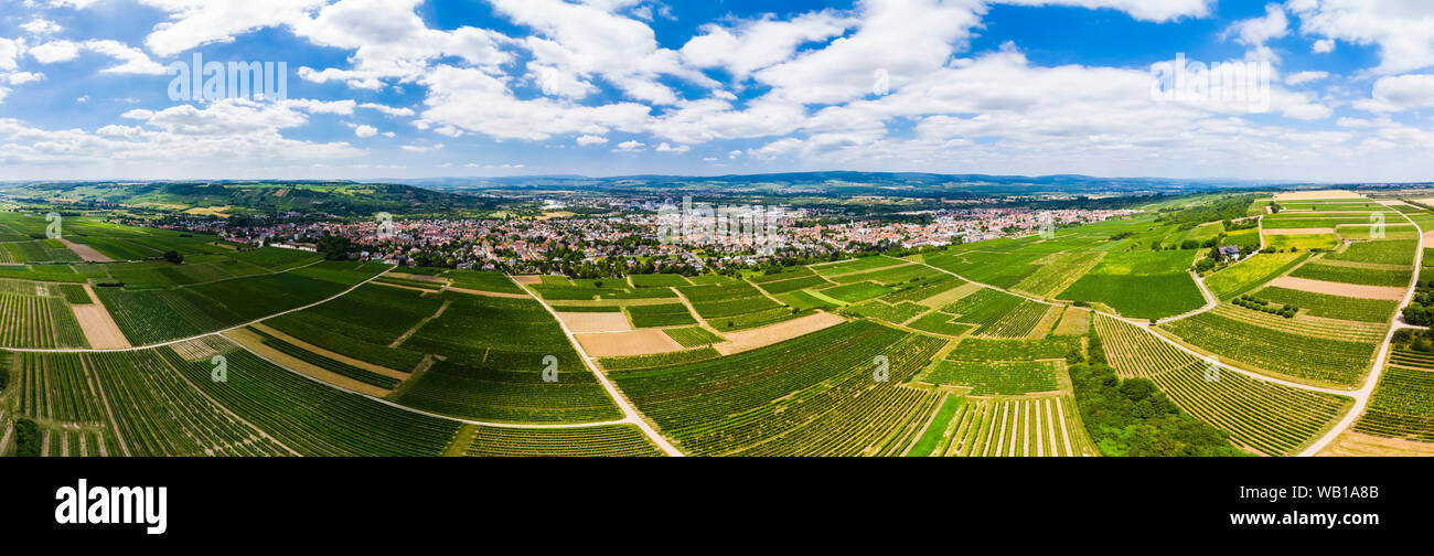 Allemagne, Rhénanie-Palatinat, Ingelheim, vue aérienne sur les vignobles Banque D'Images