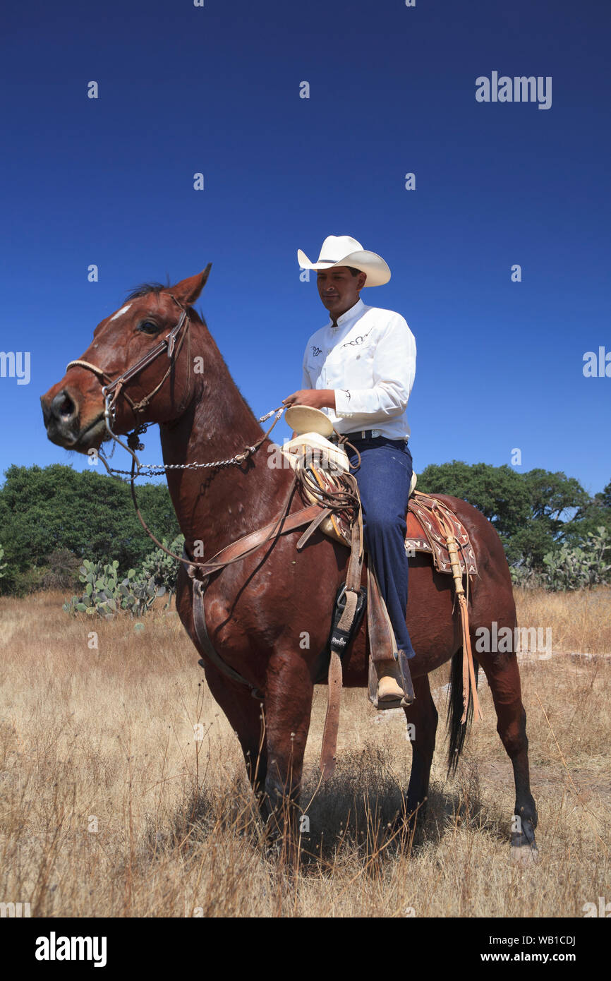 Un cow-boy mexicain équitation son cheval autour d'un ranch dans les régions rurales du Mexique Banque D'Images