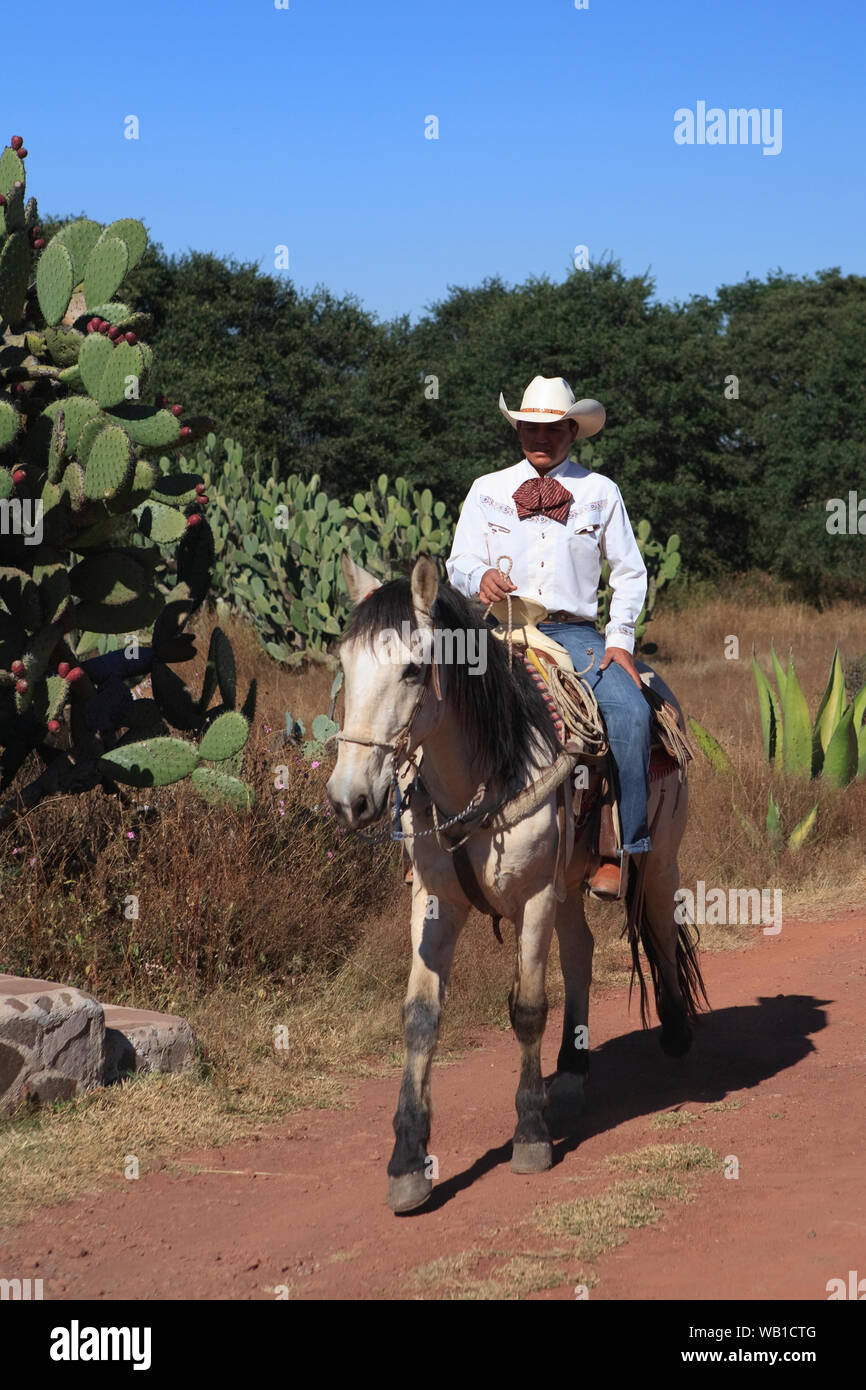 Dans un ranch mexicain Wranglers Banque D'Images