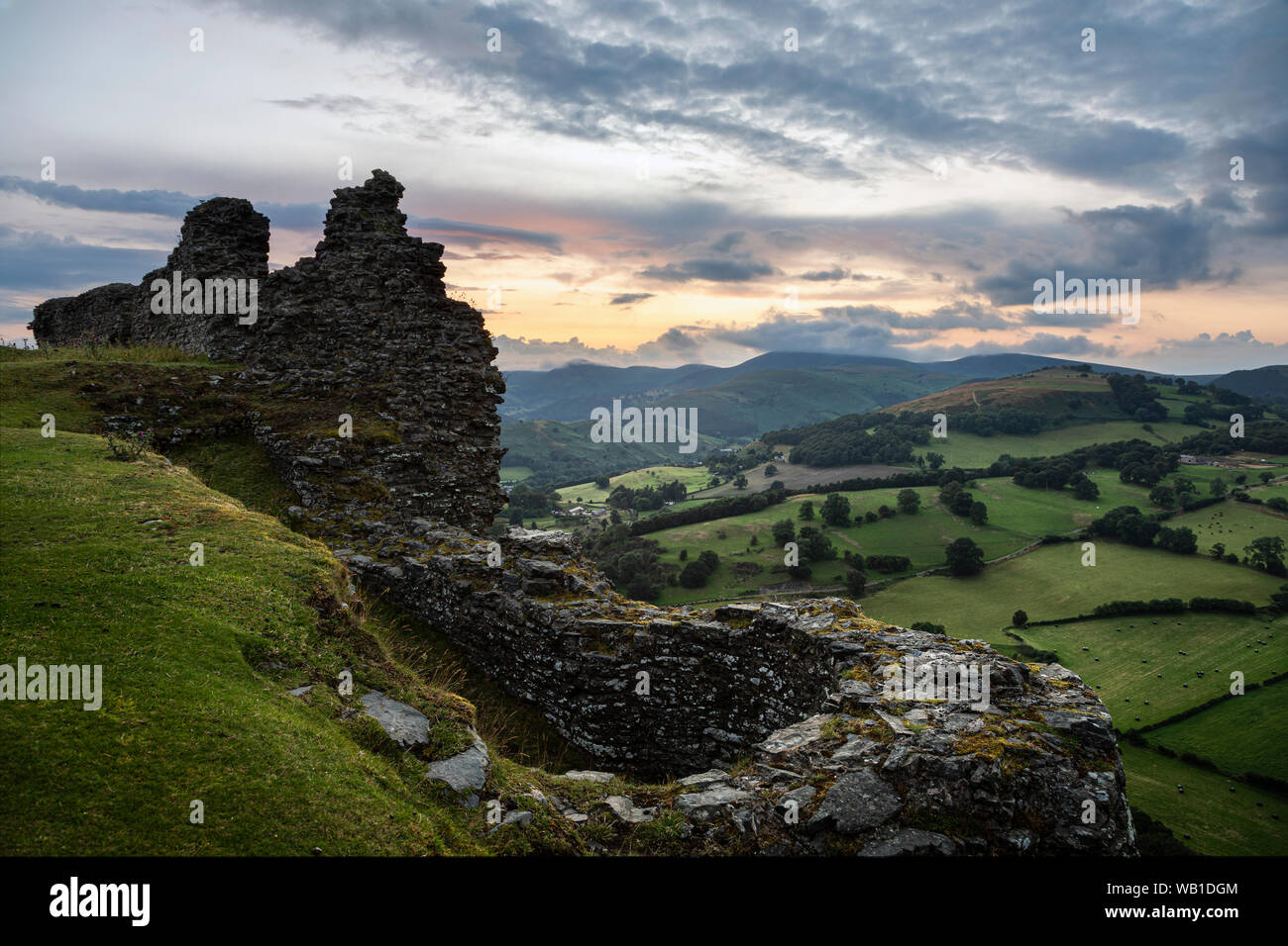 Castell Dinas Brân, Llangollen, Denbighshire, Wales Banque D'Images