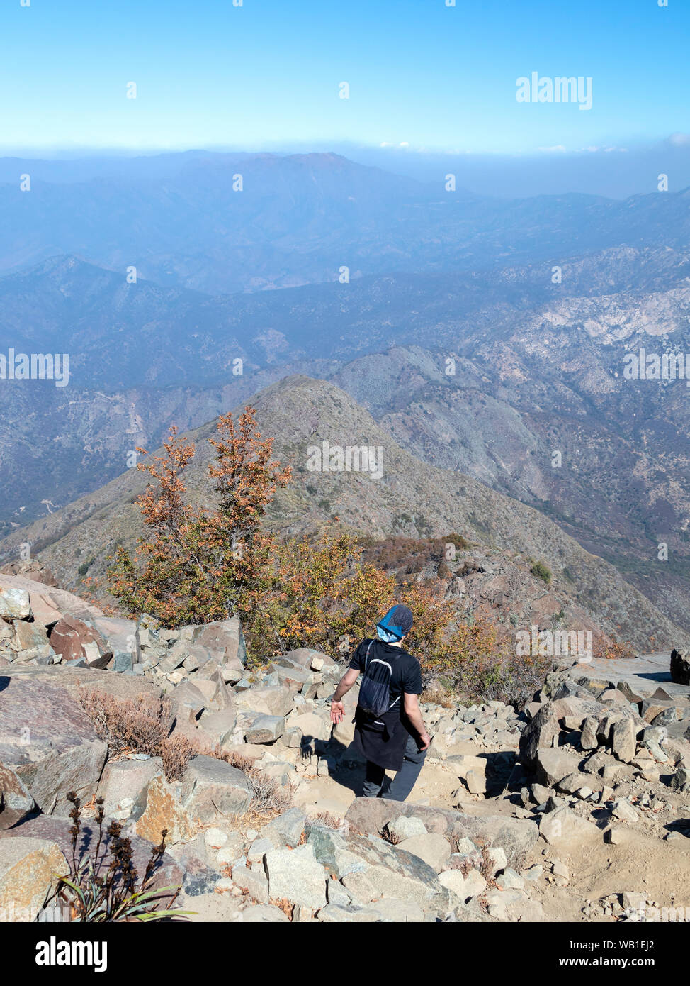 Jeune homme randonneur trekking dans les montagnes du Parc National de La Campana au Chili Banque D'Images