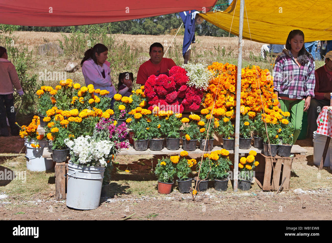Le Mexique est 'Dia De Los Muertes" - le jour de l'année où le Mexicain "célébrer" les morts par apporter des fleurs et de la nourriture sur les tombes de leurs proches. Banque D'Images