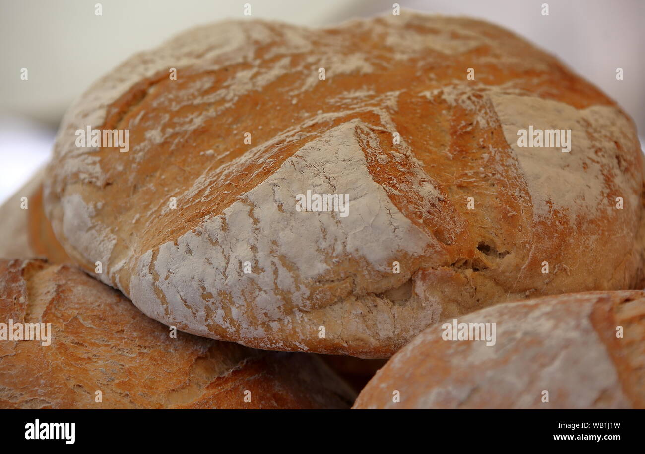 Fresh home-made pain polonais close-up Banque D'Images