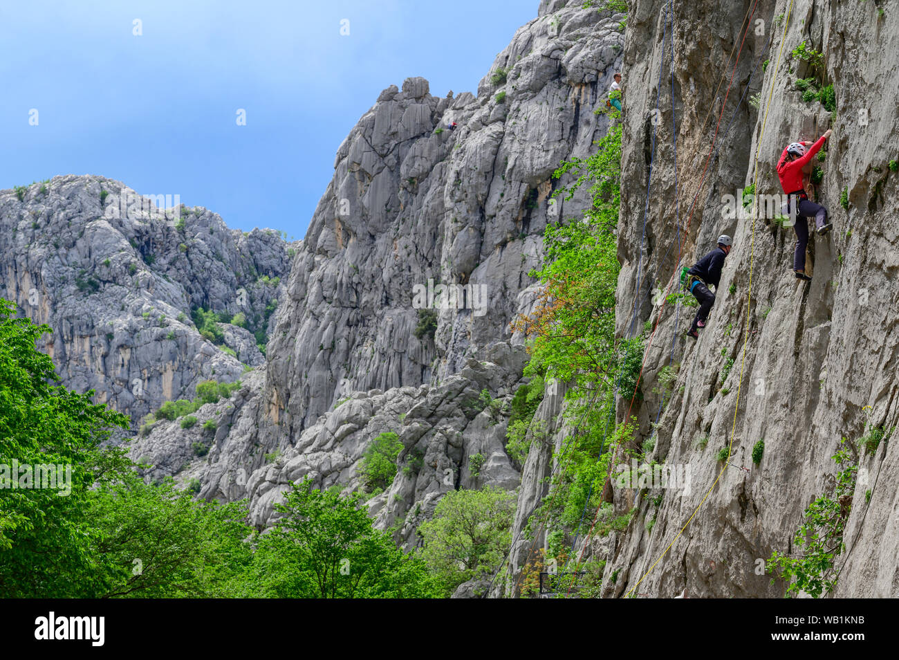 L'Europe, d'Europe, l'Europe de l'Est, Sud-est de l'Europe,Dalmatie, Croatie, Balkans, Paklencia, Parc National, 30078142, Banque D'Images