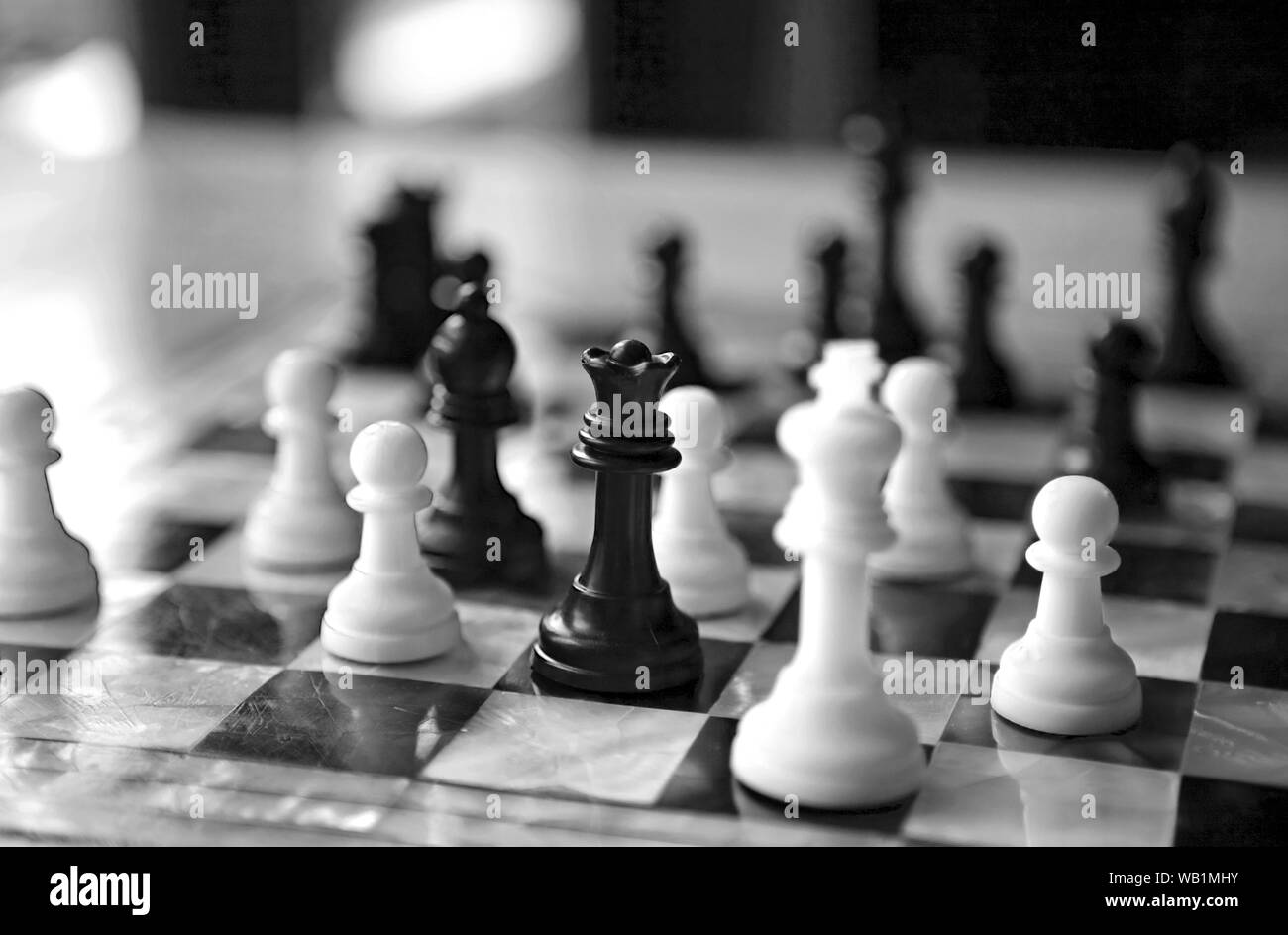 Jeu d'échecs close-up en noir et blanc Banque D'Images