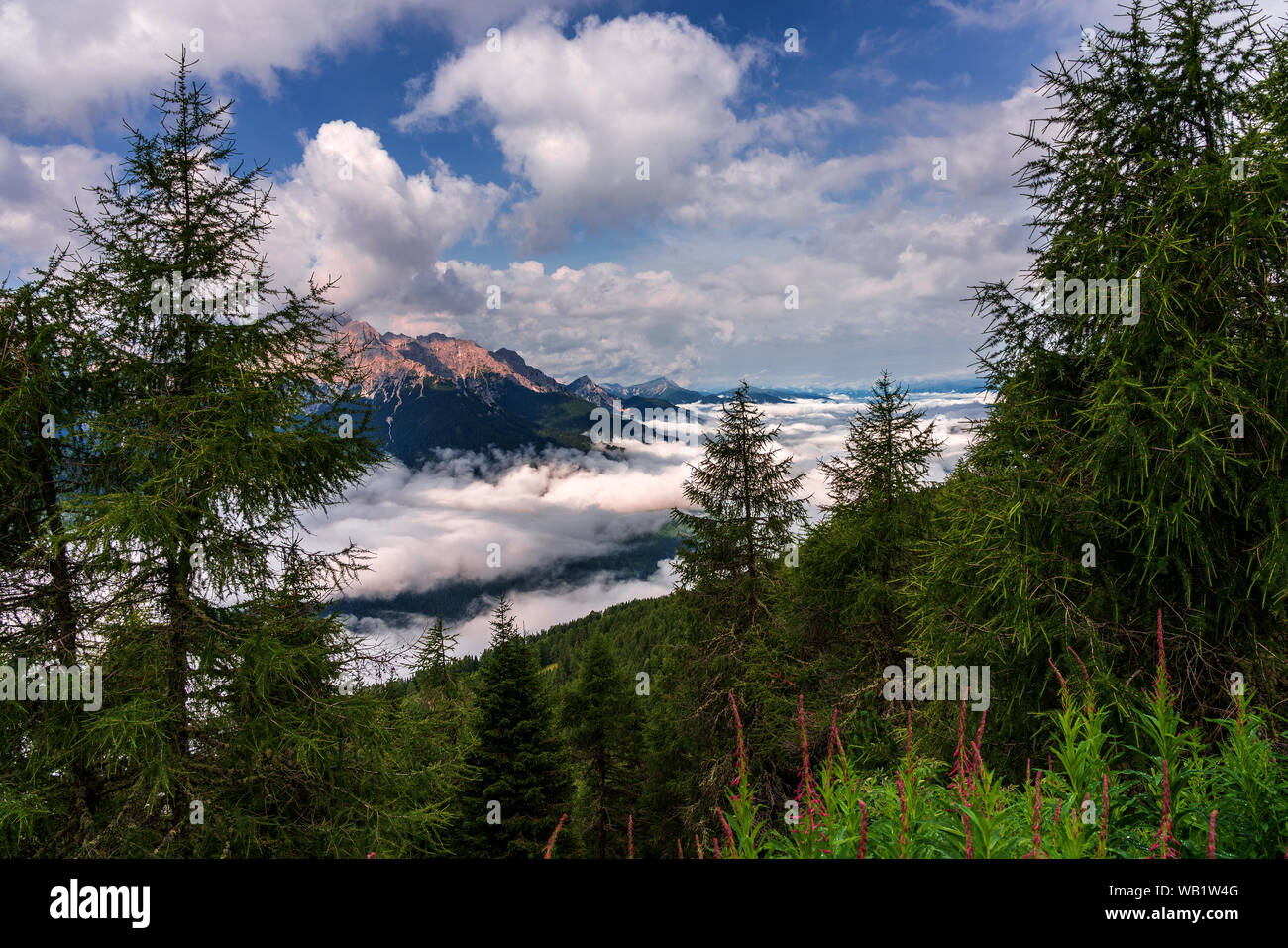 Au-dessus des nuages, Dolomites Sesto Tyrol du Sud Banque D'Images