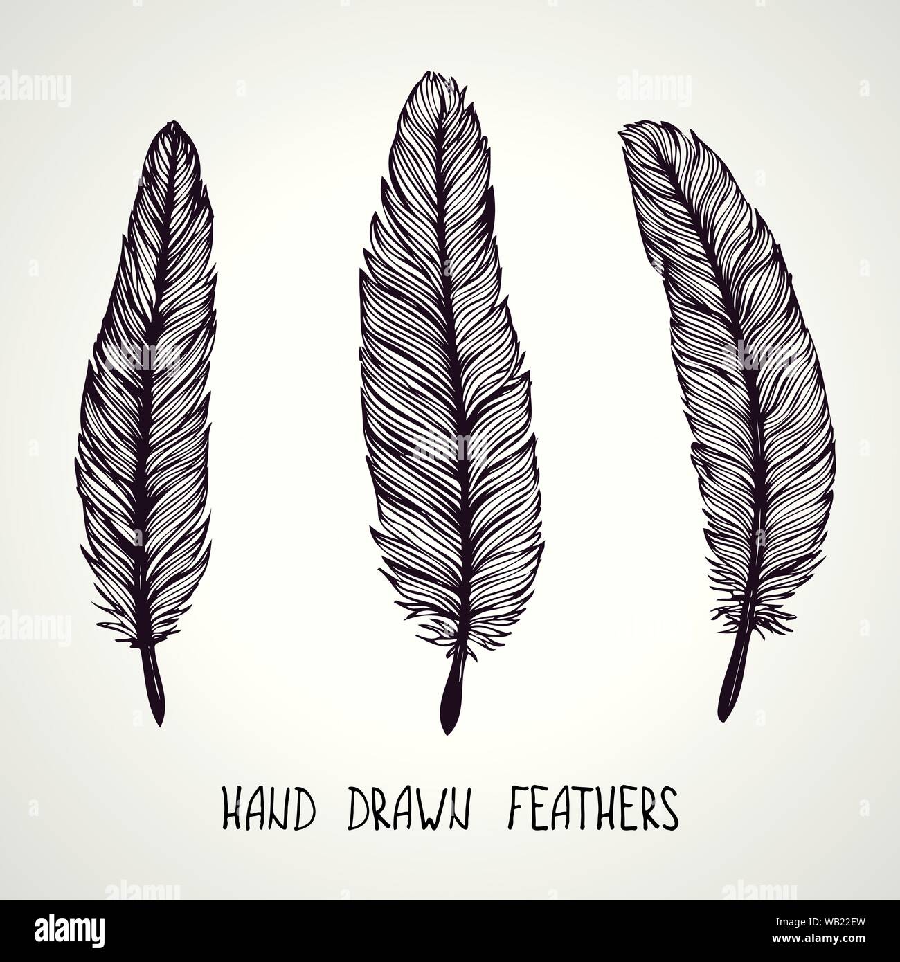 Plume à la main isolé sur fond blanc. Jeu de plumes. Artistiquement hand drawn vector illustrations. Tribal Vintage feather Illustration de Vecteur