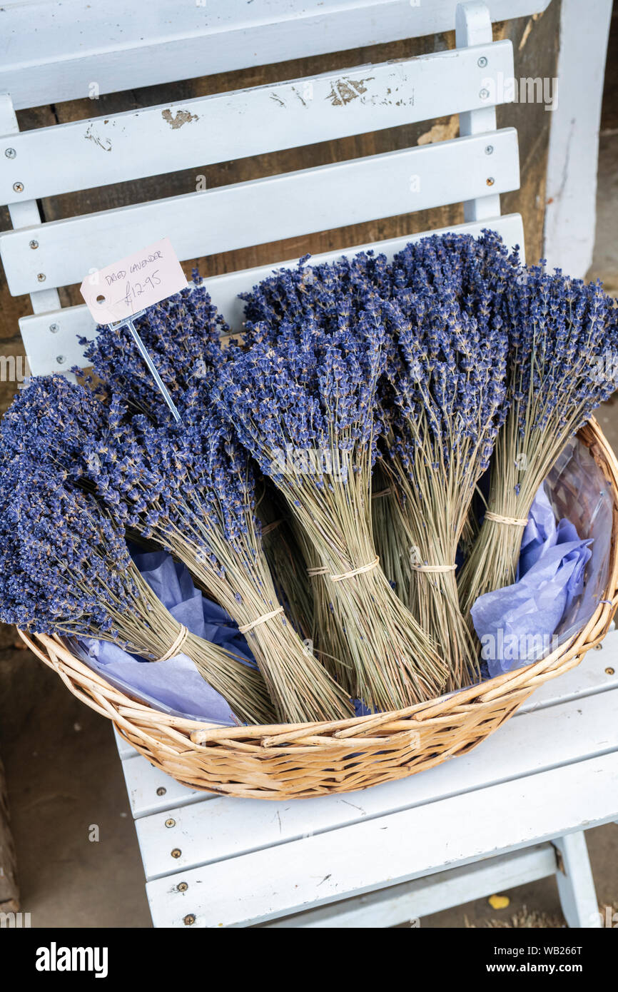 Bouquets de fleurs de lavande séchées dans un panier en osier à vendre à l'extérieur d'un magasin à Chipping Campden, Cotswolds, Gloucestershire, Angleterre Banque D'Images