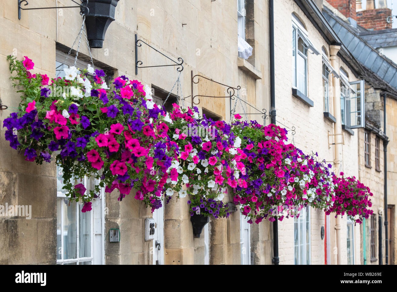 Petunia fleurs dans une corbeilles suspendues en face d'une des maisons en pierre de Cotswold à Winchcombe, Cotswolds, Gloucestershire, Angleterre Banque D'Images