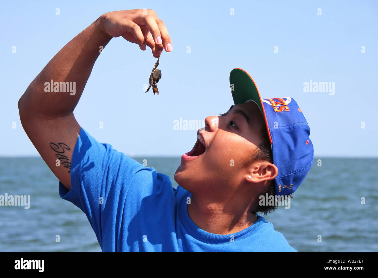 Madison, CT USA. Août 2010. Jeune homme à la plage, faire semblant de manger un crabe asiatique commun. Banque D'Images