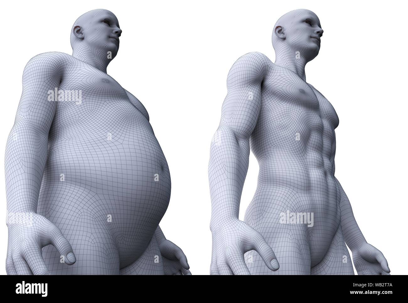 Comparaison de l'ajustement et un homme obèse, illustration de l'ordinateur. Banque D'Images