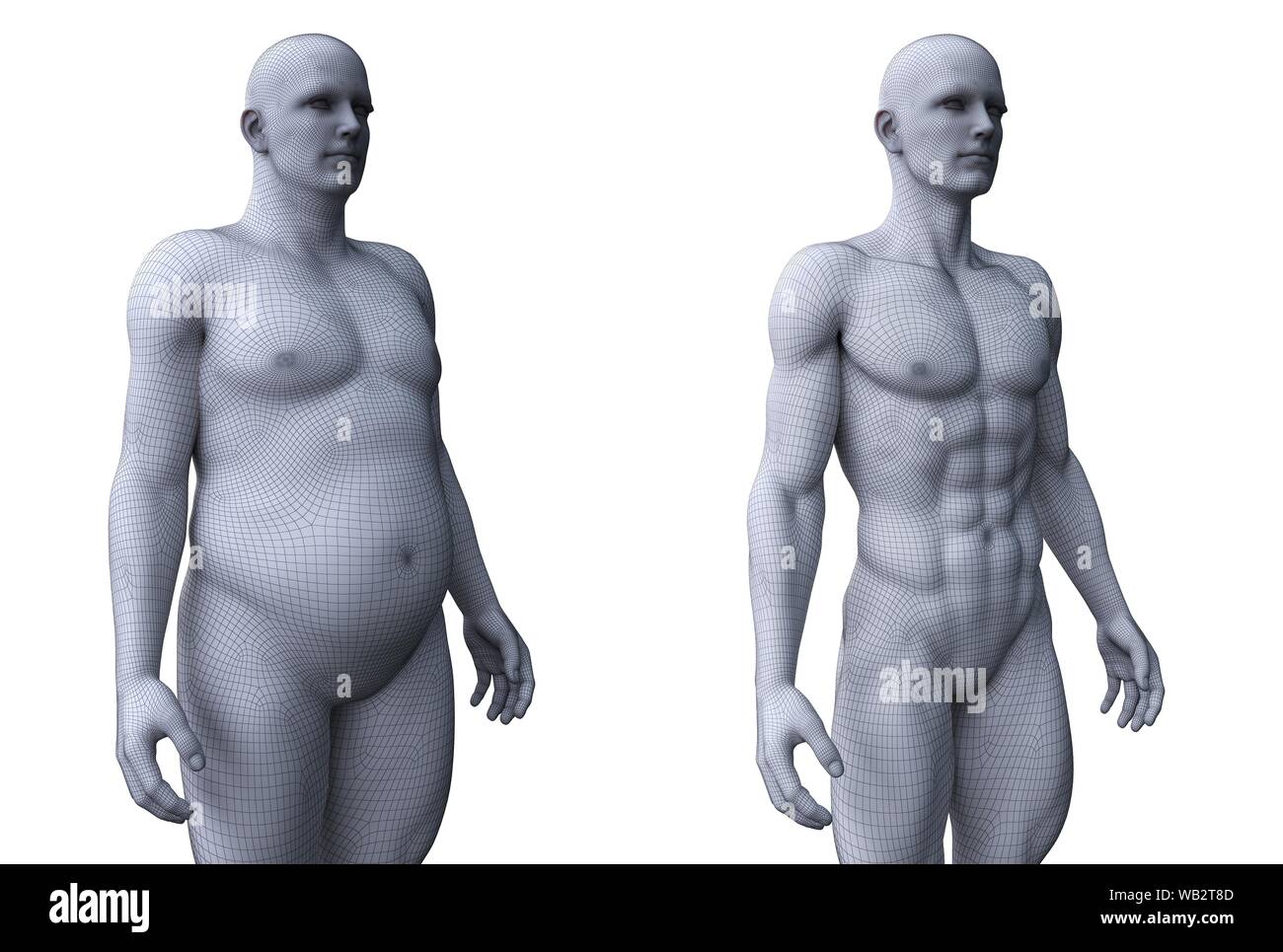 Comparaison de l'ajustement et un homme obèse, illustration de l'ordinateur. Banque D'Images