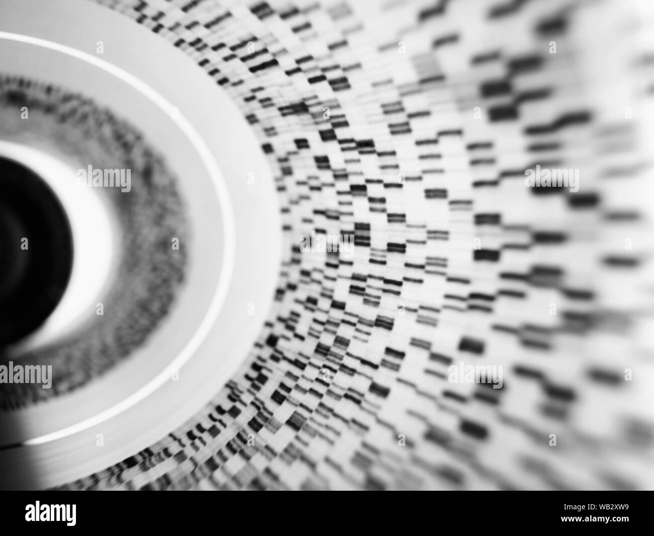 La recherche en génétique. L'ADN (acide désoxyribonucléique) autoradiogram illustrant les résultats génétiques. Banque D'Images