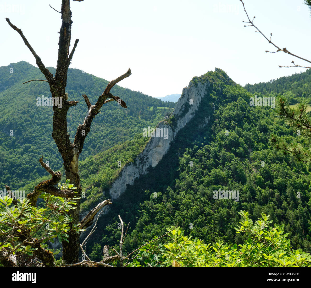 Un escarpement calcaire émerge de la forêt sur le chemin de St-Benoit-en-Diois à la chaudière dans la Drôme, de la France Banque D'Images