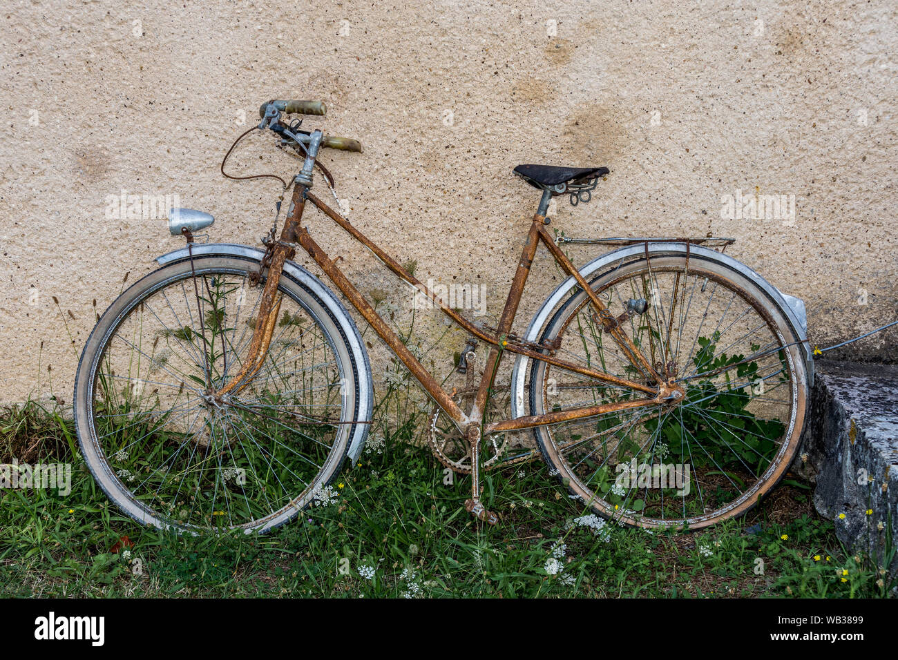 Cadre Vélo Ancien Col De Cygne - Bicycle Vintage Old Bike