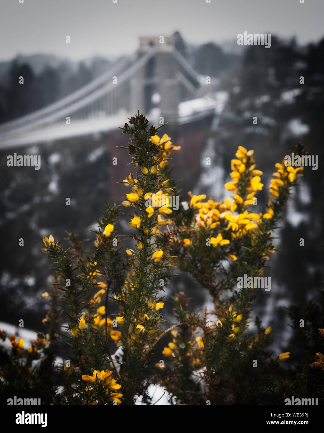 Clifton Suspension Bridge dans la neige, Bristol Banque D'Images