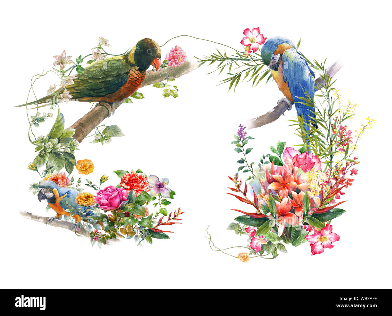 L'aquarelle avec fleurs et oiseaux, sur fond blanc Banque D'Images