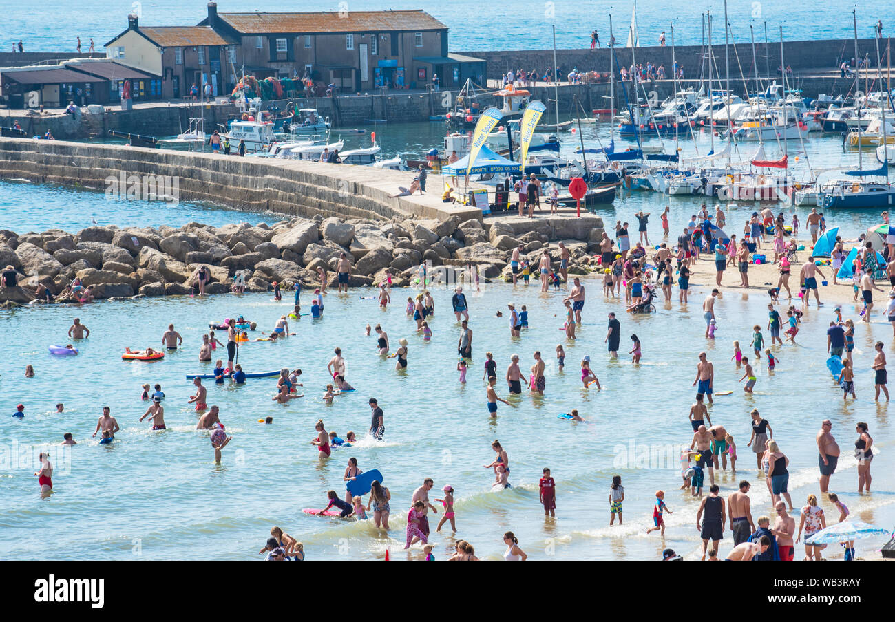 Lyme Regis, dans le Dorset, UK. 24 août 2019. Météo France : des foules de vacanciers et sunseekers rafraîchir dans la mer, comme la maladie de Lyme Regis grésille dans lumière du soleil chaude.Credit : Celia McMahon/Alamy Live News. Banque D'Images