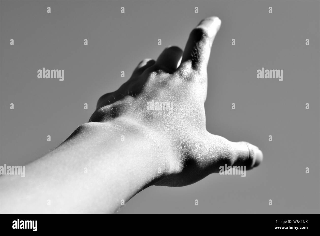 Photo en noir et blanc, c'est attraper quelque chose à la main Banque D'Images