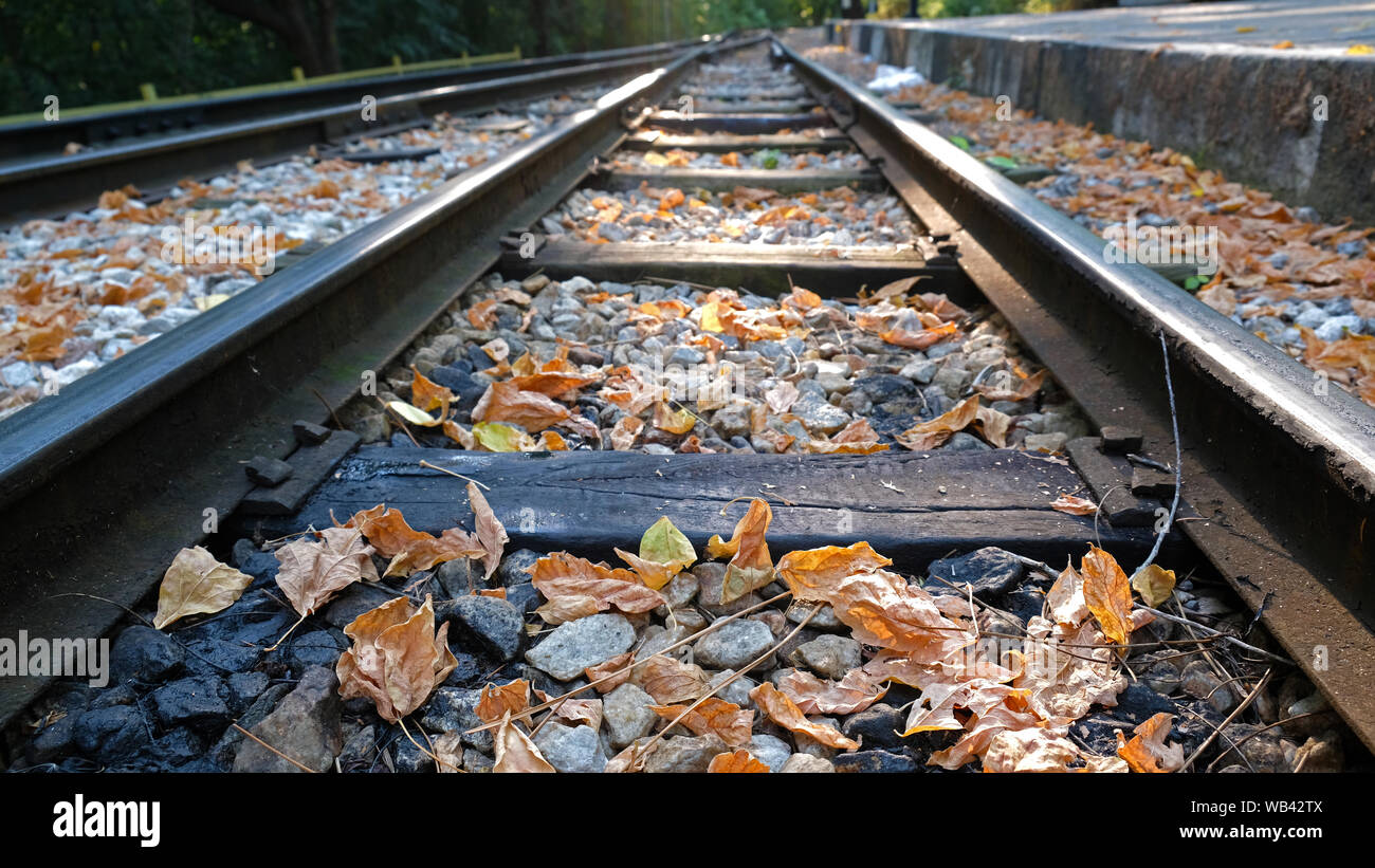 Ligne de chemin de fer à l'automne dans le parc Banque D'Images