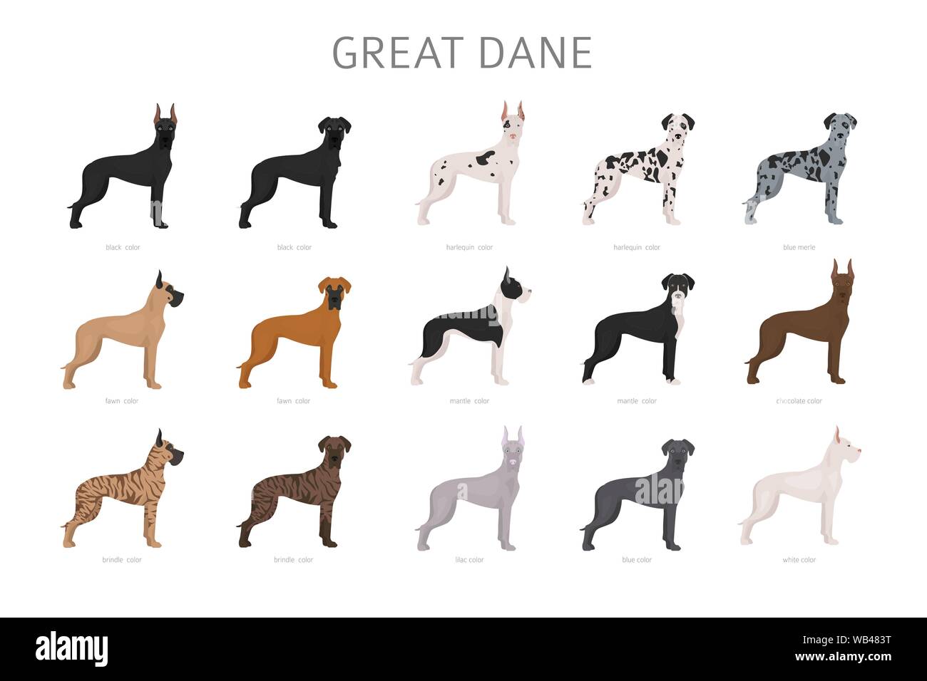 Dogue Allemand. Une robe vraiment magnifique manteau de chien couleur définie. Vector illustration Illustration de Vecteur