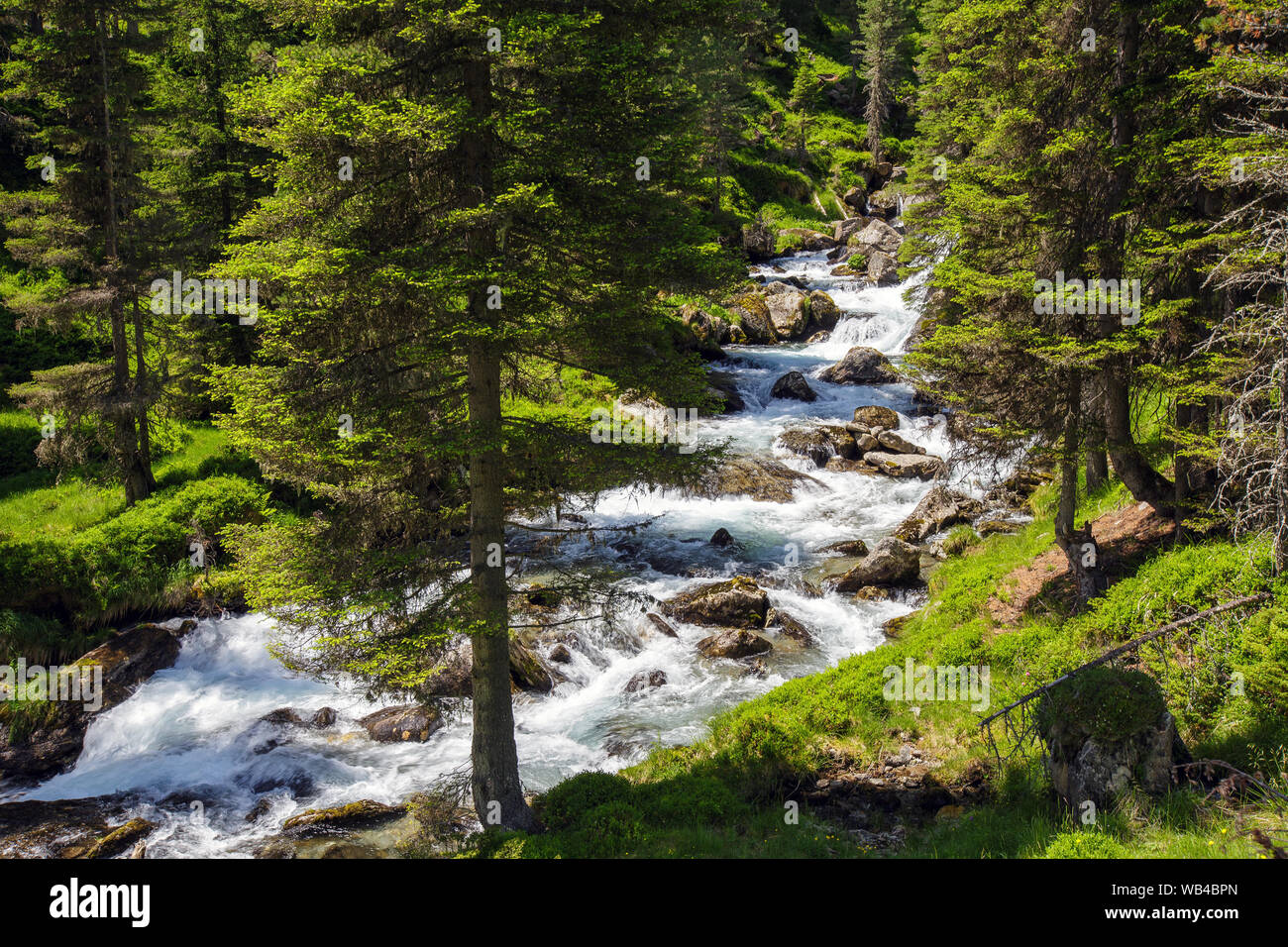 Debanttal. La forêt de conifères et Debantbach torrent alpin. Schobergruppe mountain group. Parc national de Hohe Tauern. Alpes autrichiennes. Banque D'Images