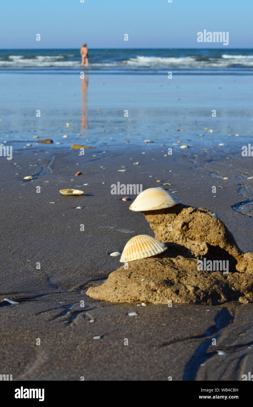 Paire de coquilles de mer sur le sable de la plage avec vue sur la mer dans le contexte de vacances d'été. Activité d'été et voyage concept. Banque D'Images