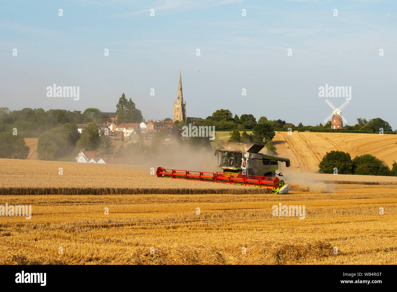 Thaxted, UK. Août 24, 2019. Thaxted Essex England UK. Récolte de blé. 24 août 2019 en raison d'un début d'août, la récolte de blé est en retard cette année, mais les rendements devraient être élevés. On voit ici une moissonneuse-batteuse coupe le blé à la ferme Parc administré par agriculteur Simon Latham dans l'ombre de 15e siècle 19e siècle et l'Église Thaxted John Webb's moulin en Thaxted north Essex en Angleterre. Crédit : BRIAN HARRIS/Alamy Live News Banque D'Images