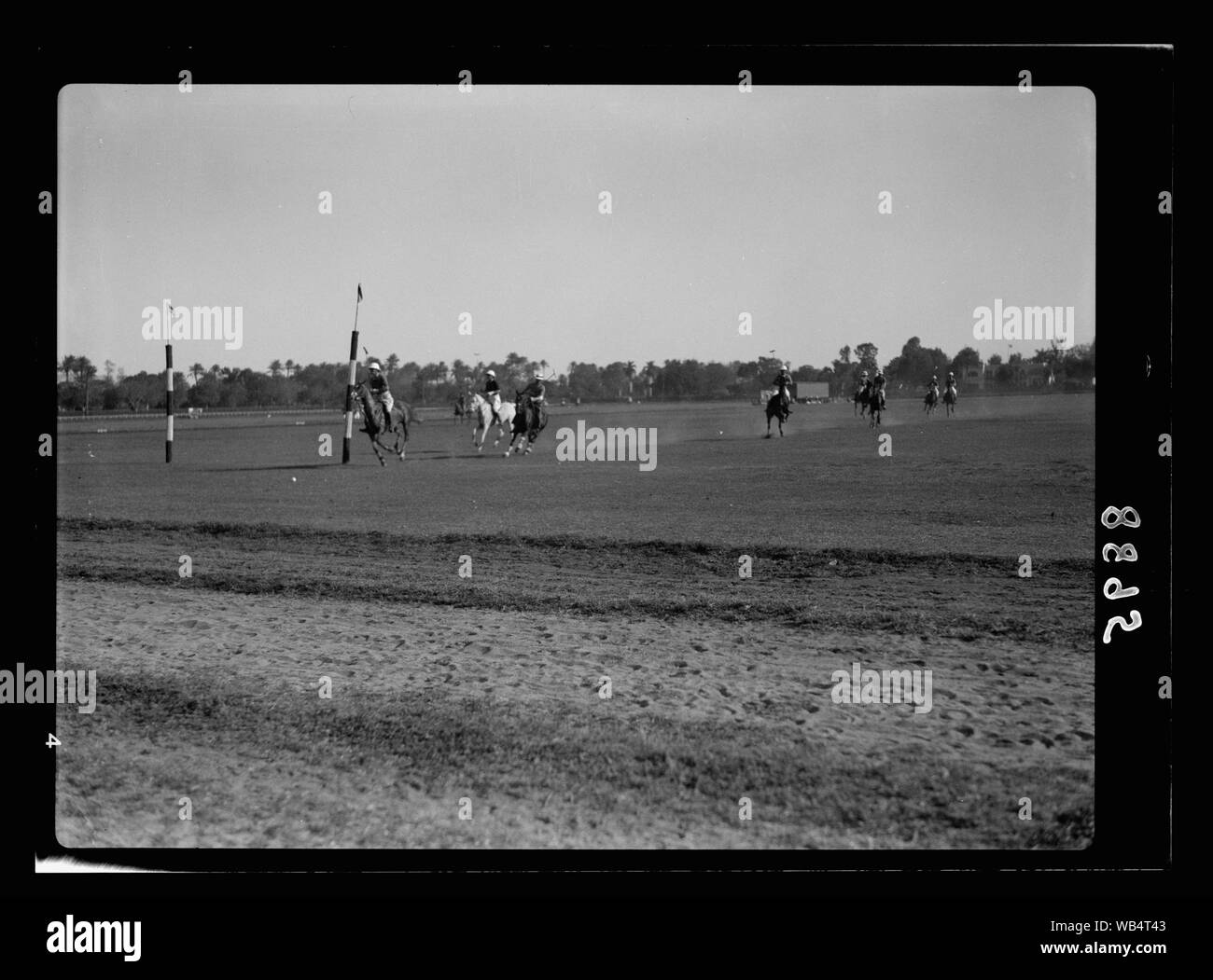 L'Égypte. Le Caire. Jardins de Gezira et sports. Polo Abstract/medium : G. Eric et Edith Matson Photograph Collection Banque D'Images