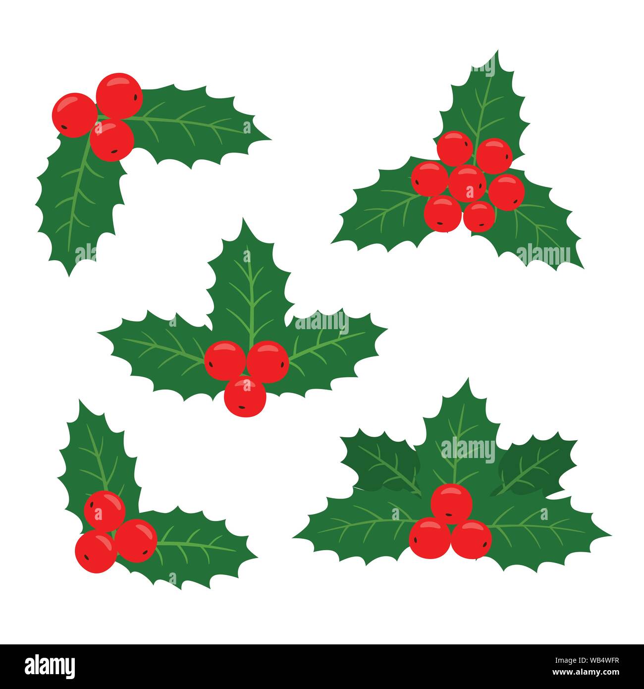 Holly plante. Vector illustration d'un ensemble d'échantillons pour les cartes. Blanc sur fond isolé. Illustration de Vecteur