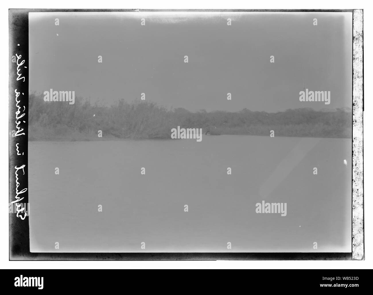 Dans l'éléphant du Nil Victoria Abstract/medium : G. Eric et Edith Matson Photograph Collection Banque D'Images