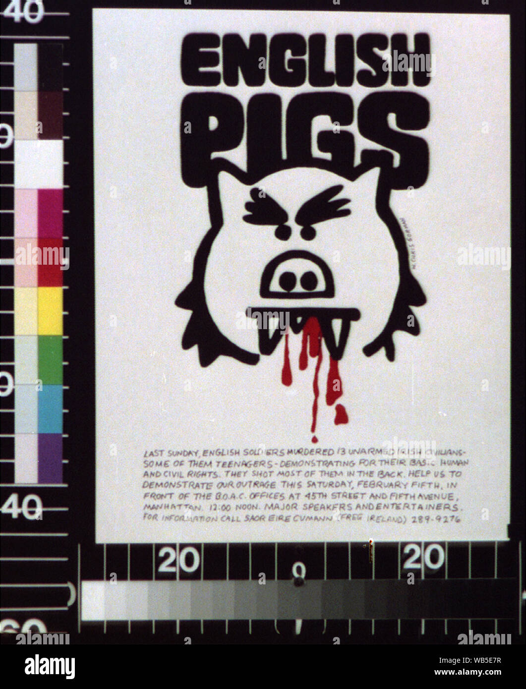 Les porcs anglais Résumé : 1 : impression couleur (format affiche) Banque D'Images