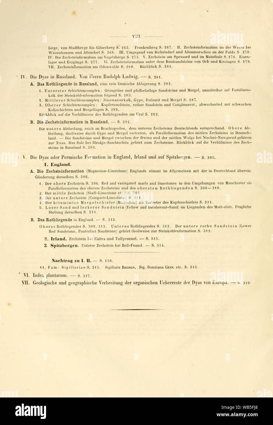 Dyas oder die Zechsteinformation Rothliegende und das (page viii) Banque D'Images