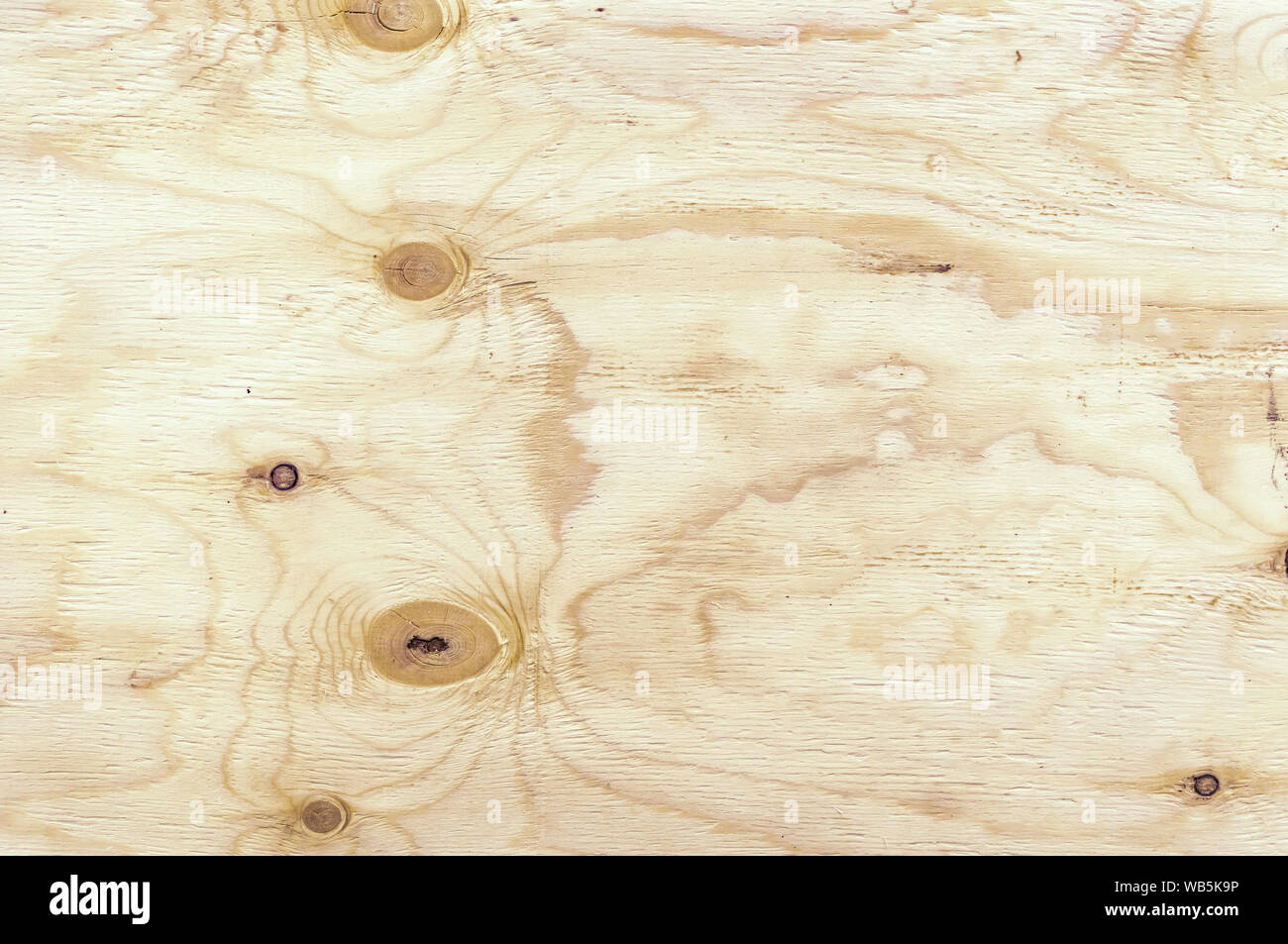 Panneaux de texture. Fond de bois à partir de la feuille de contreplaqué. Banque D'Images