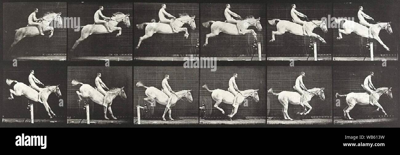 Eadweard Muybridge - cheval. Banque D'Images