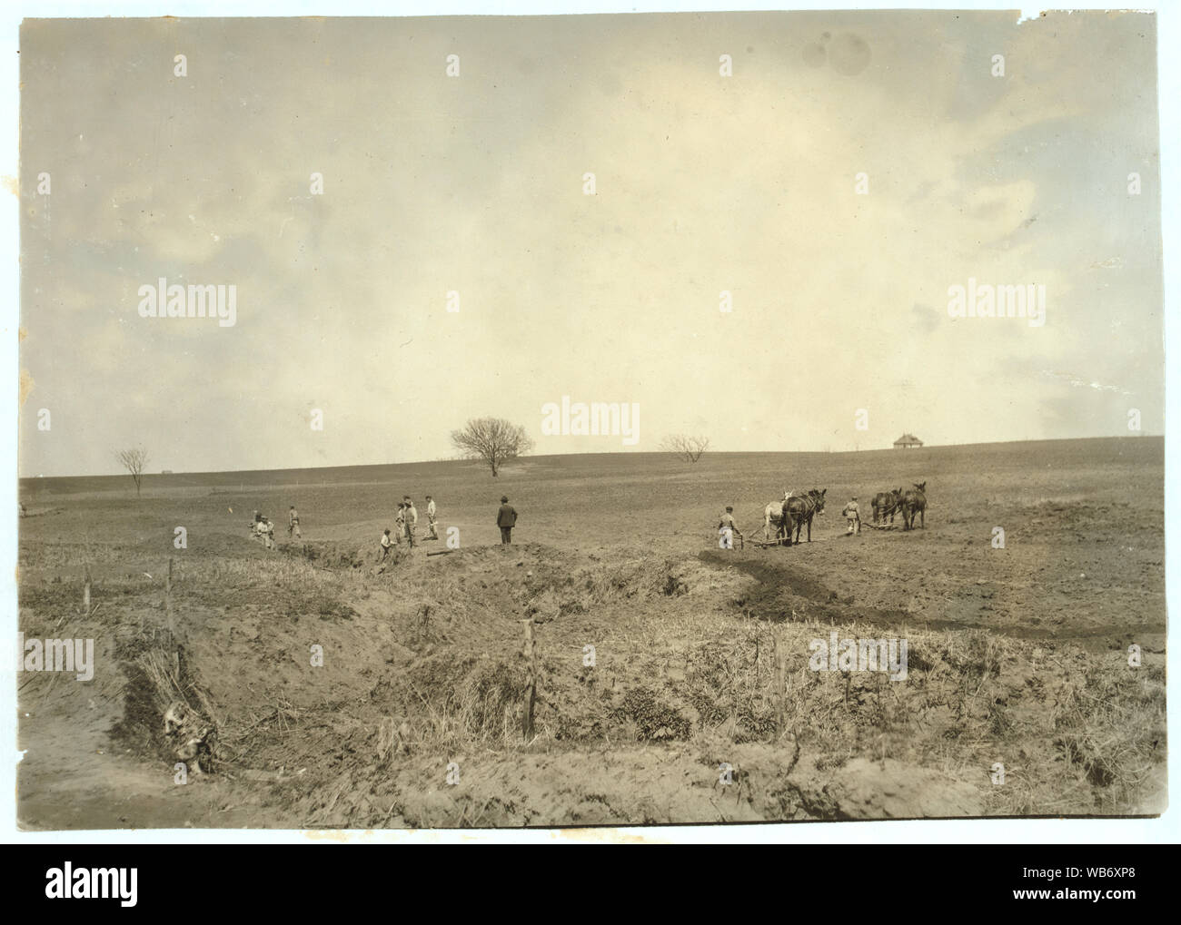 Les travaux agricoles. Pauls Valley École de formation. Voir 4833-4842. Résumé : des photographies sur les dossiers de la Commission nationale sur le travail des enfants (États-Unis) Banque D'Images