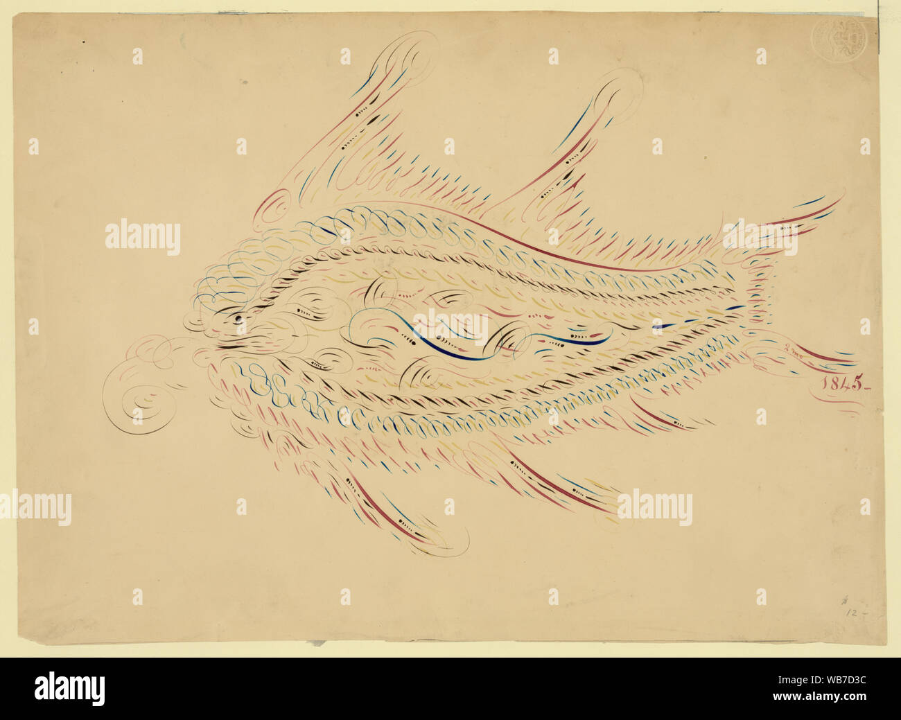 Extrait de poisson/moyenne : 1 dessin sur papier vélin : l'aquarelle. Banque D'Images