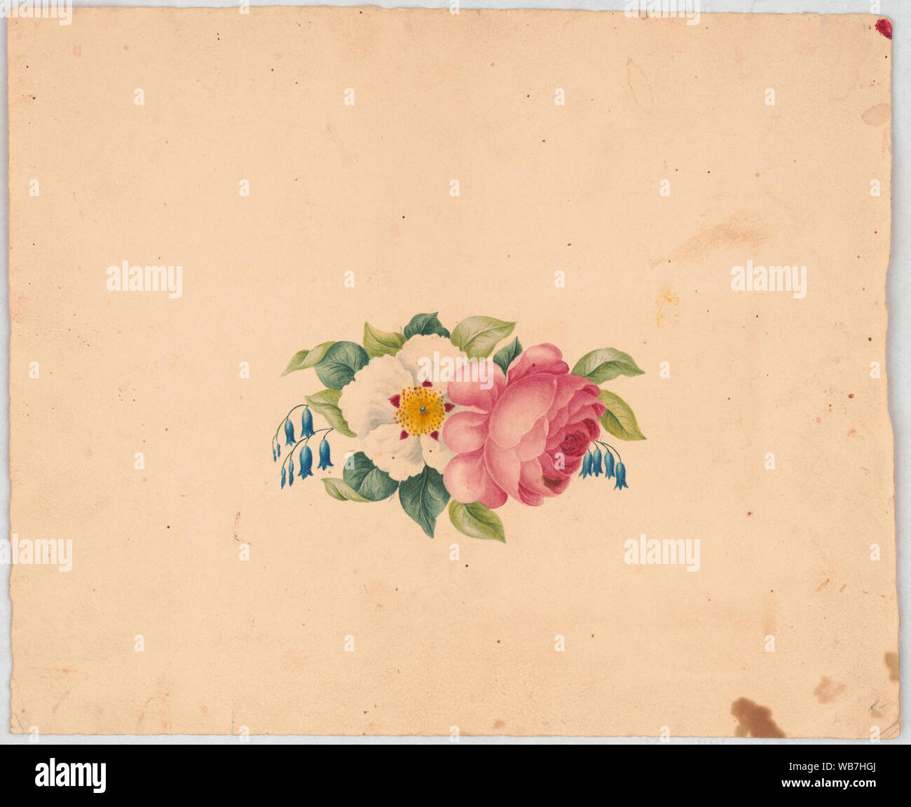 Arrangement de fleurs à la rose ou pivoine, une fleur blanche en rouge et jaune et bleu, fleurs en forme de cloche, avec le feuillage Abstract/moyenne : 1 dessin sur papier crème : feuille ; aquarelle 19,5 x 24 cm. Banque D'Images