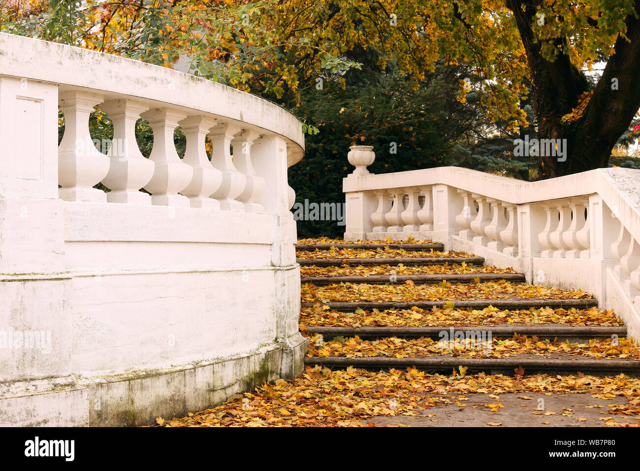 Ancien escalier en pierre avec des feuilles tombées vintage Banque D'Images