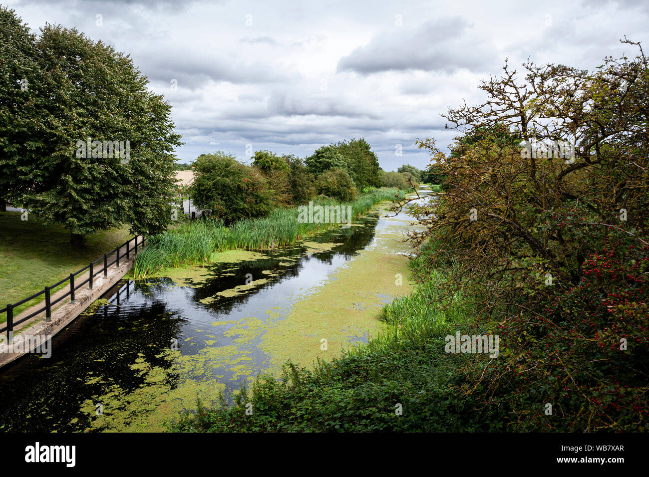 Au cours de la recherche de la main courante sur le pont sur le canal Selby à brûler dans le Yorkshire. Banque D'Images