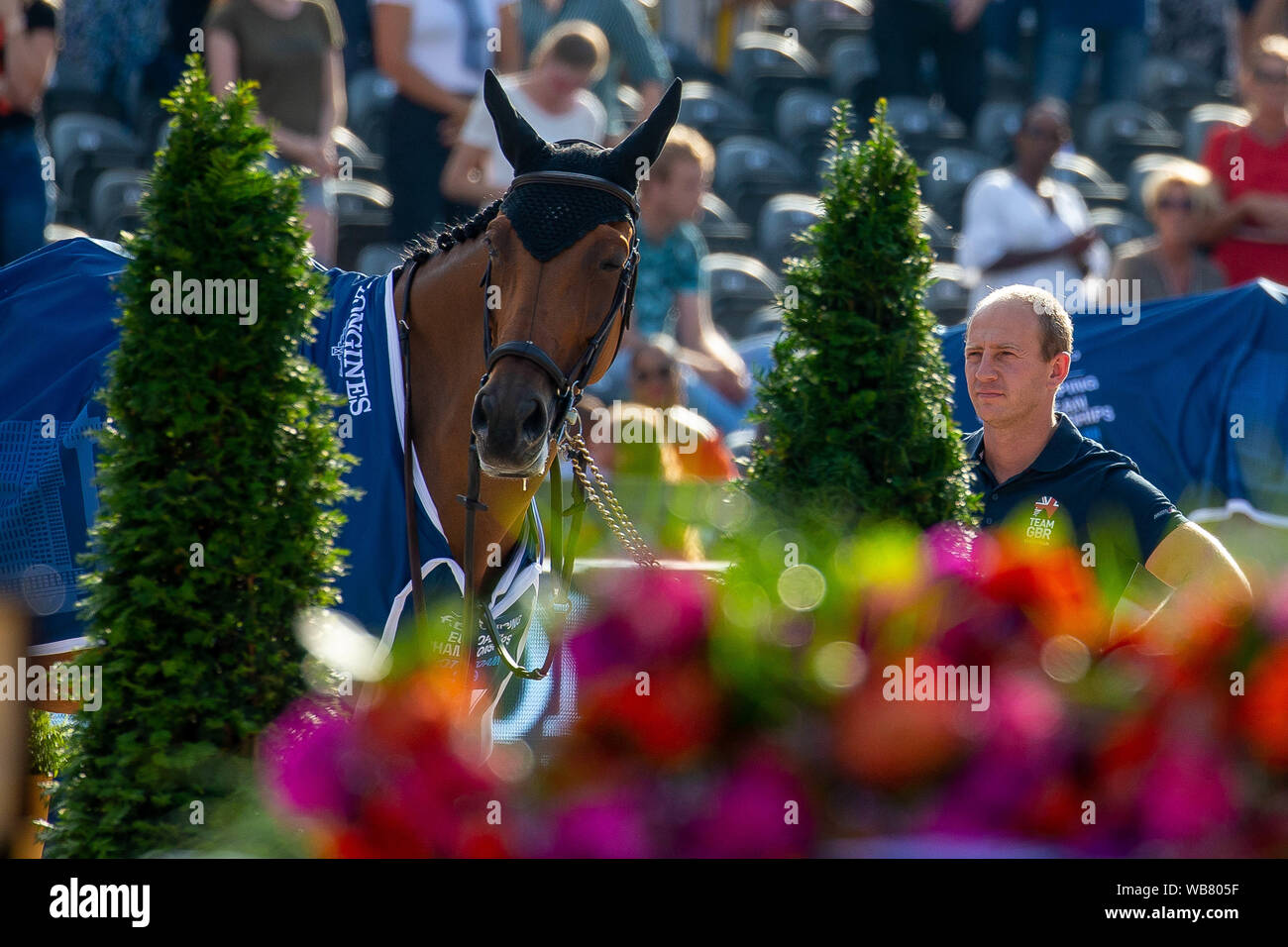 Rotterdam. Aux Pays-Bas. 23 août 2019.David Honnet le marié de Scott Brash avec Bonjour M'Dame dans la remise des prix pour l'équipe finale. Concours hippique. FEI Longines championnats européens. Bouleau/SIP Elli Crédit photo agency/Alamy live news. Banque D'Images